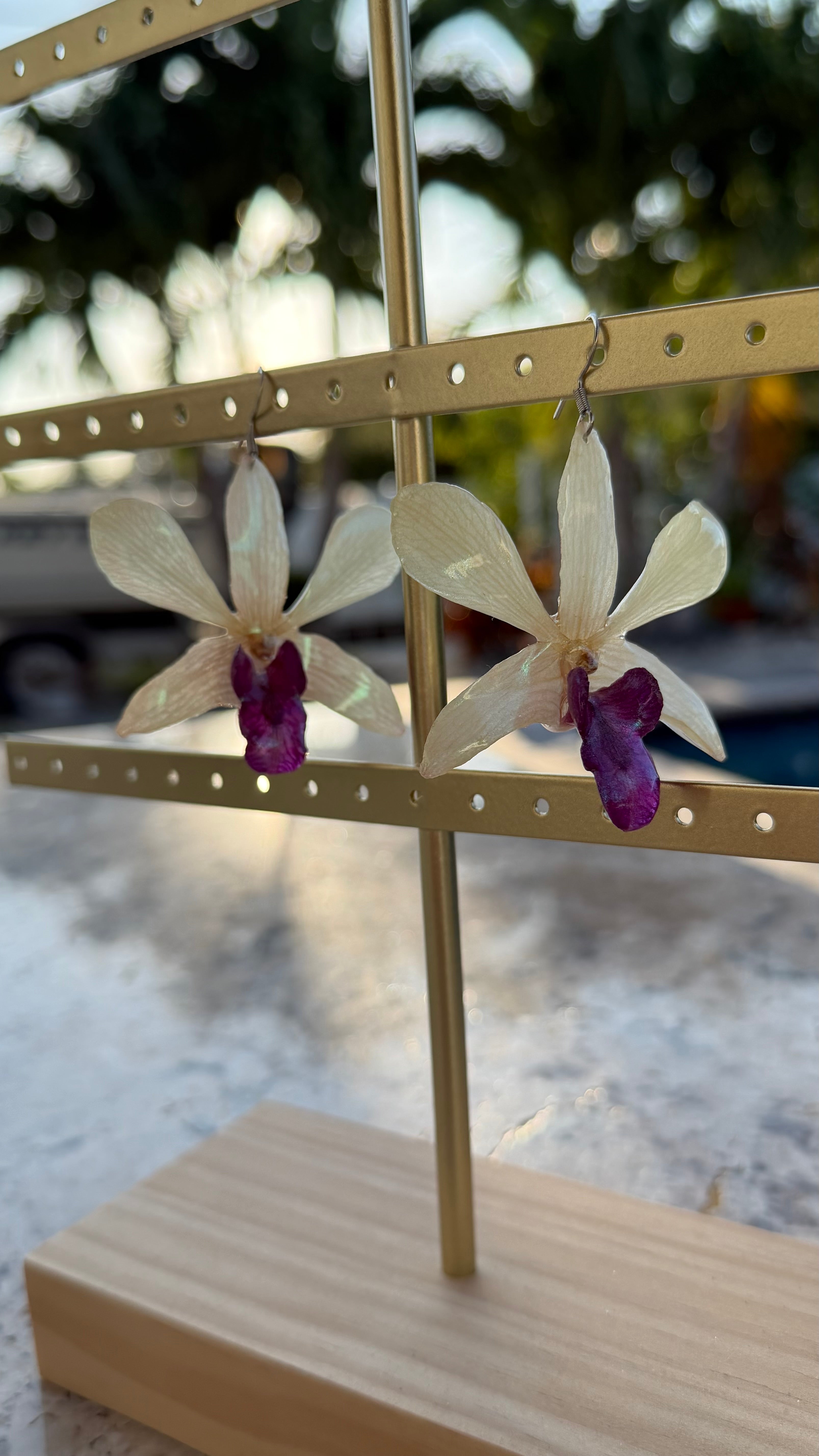 Dendrobiums