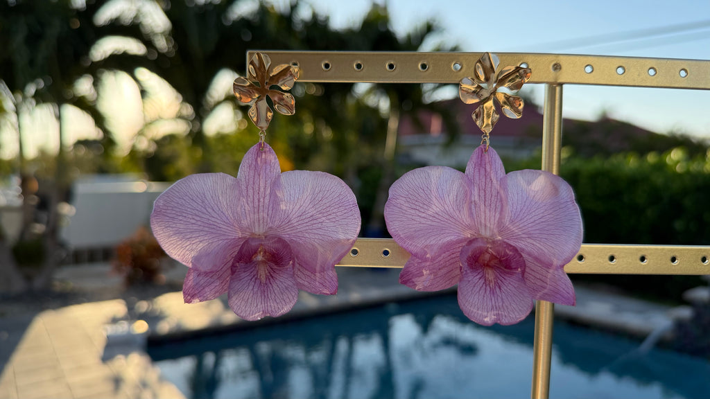 Purple Dazzles