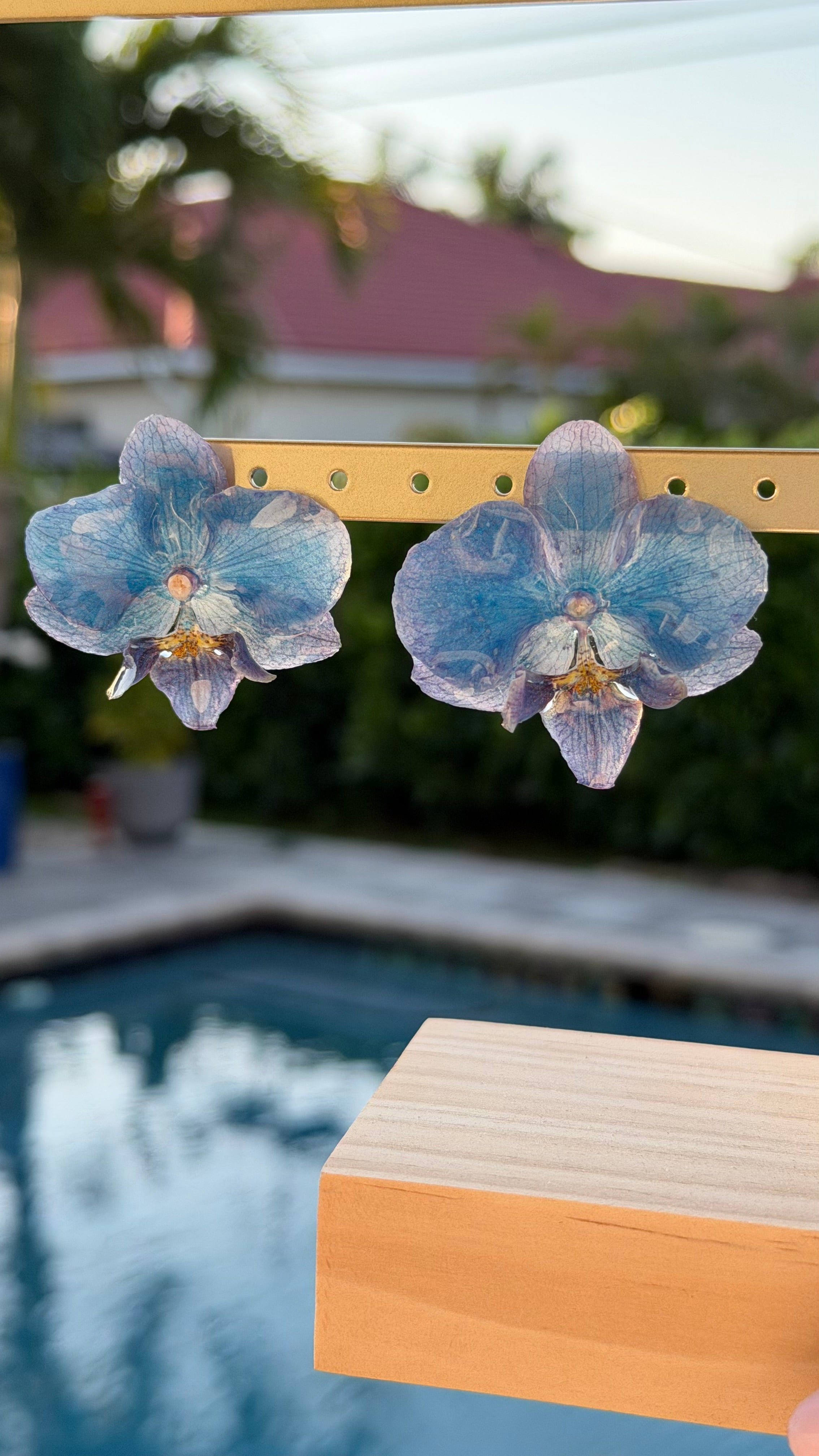 Blue Orchids