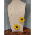 Daisies