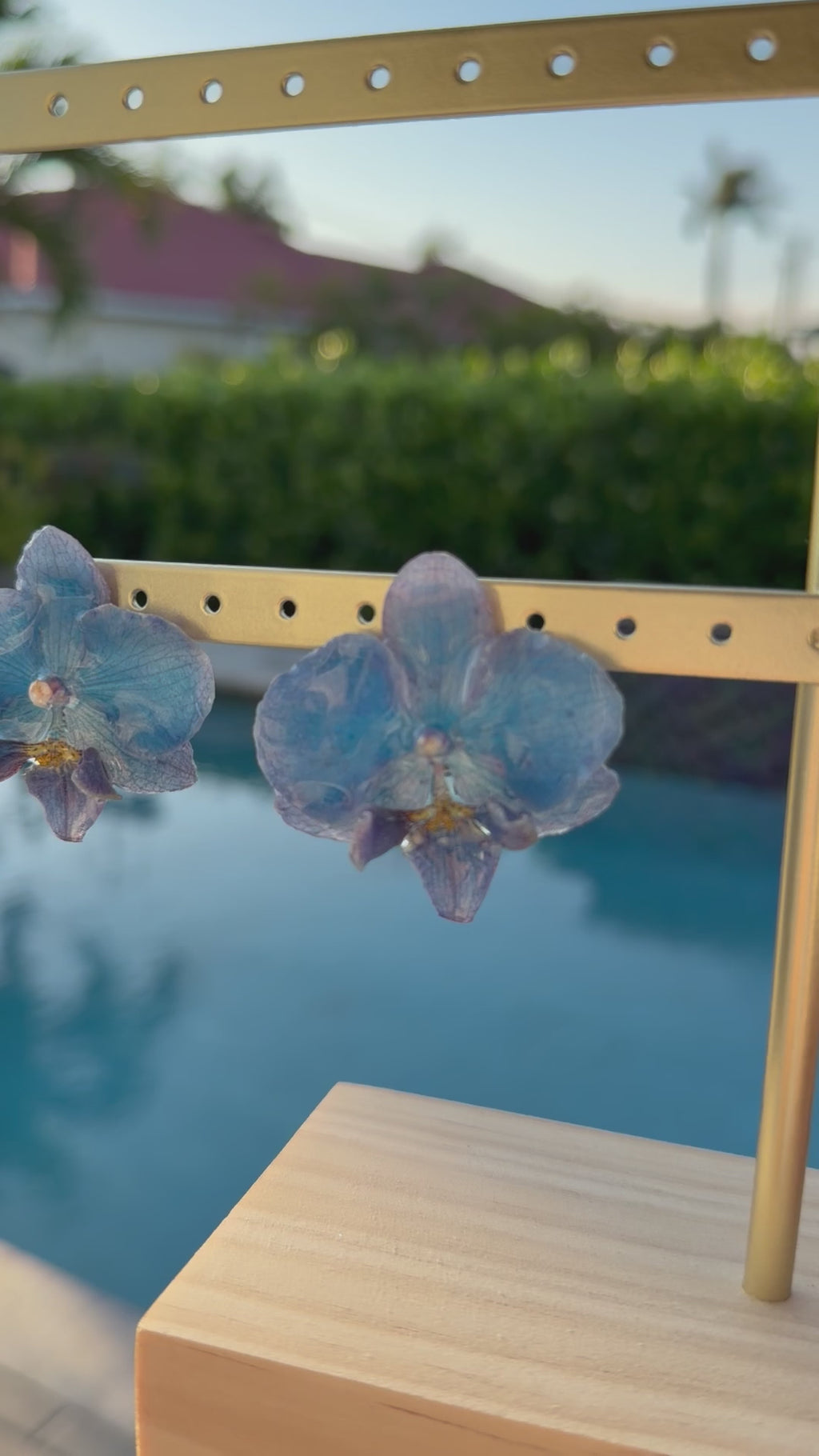 Blue Orchids