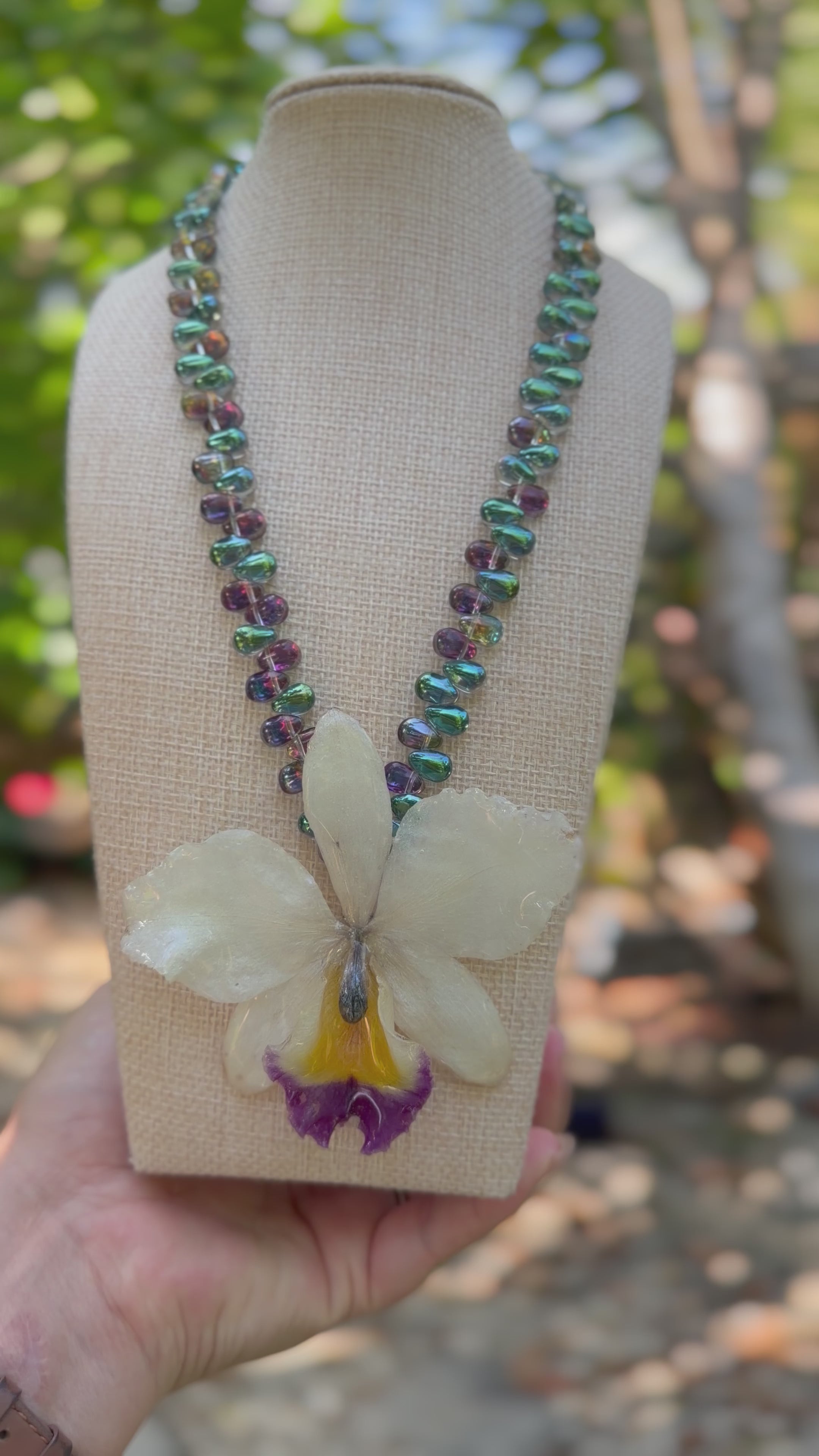 Gotas de Orquídea
