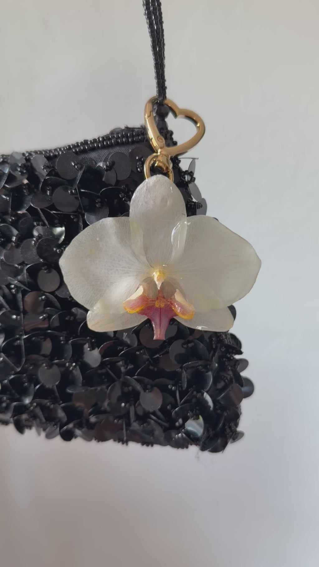 Bag Clip or Key Chain