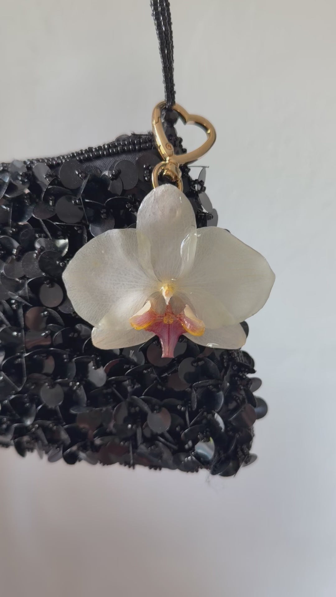 Bag Clip or Key Chain