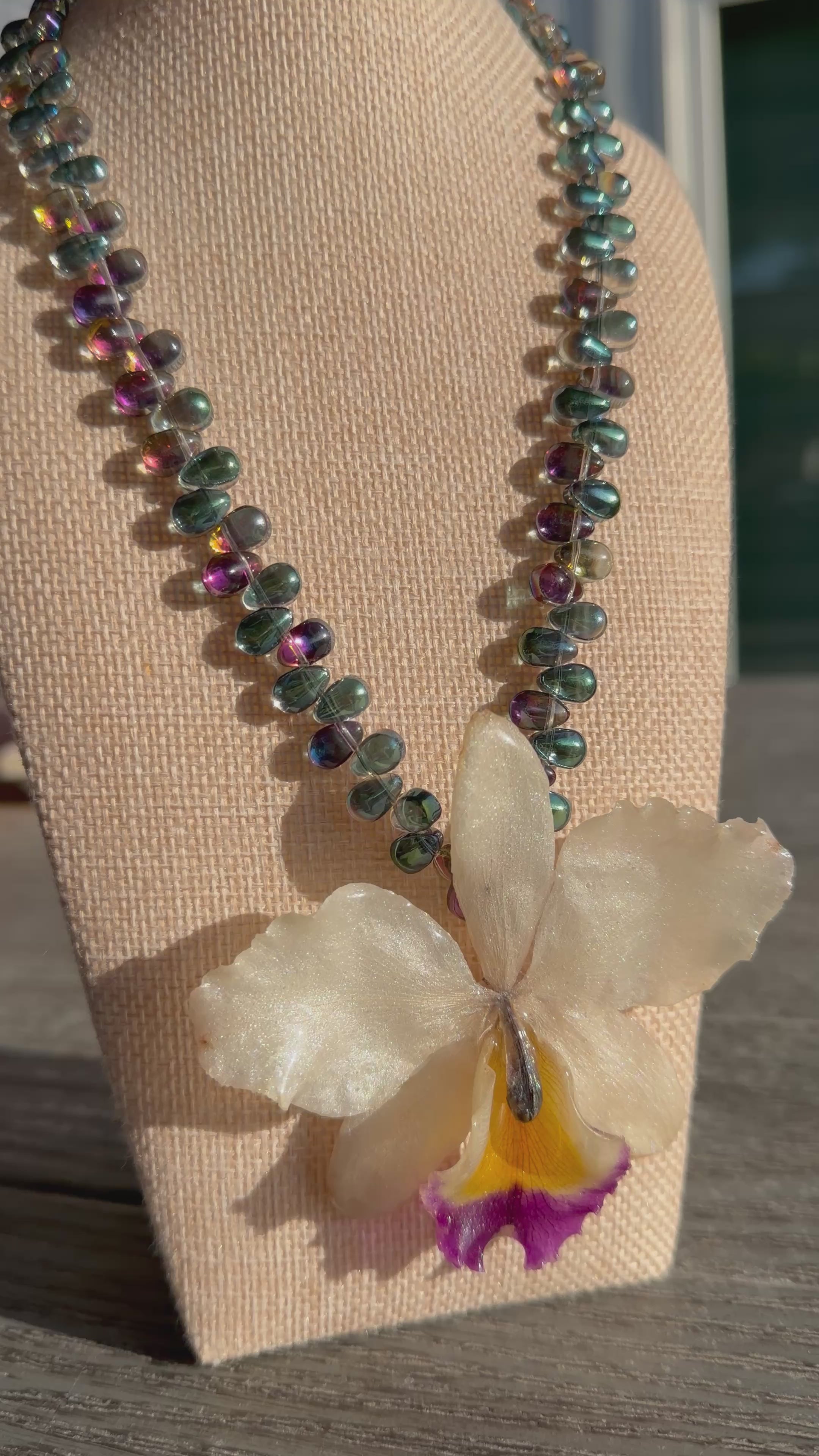 Gotas de Orquídea