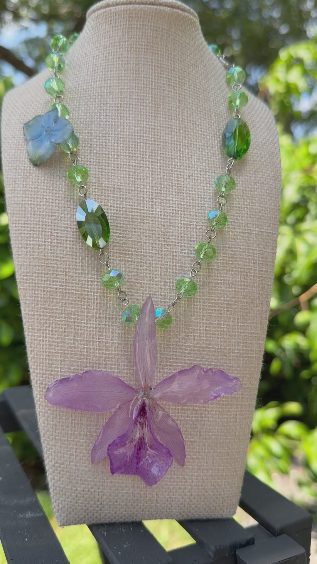 Orchid Whisper