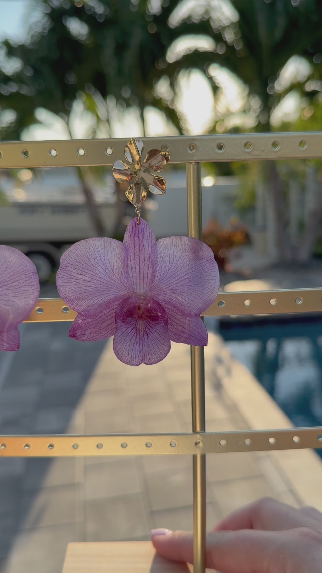 Purple Dazzles