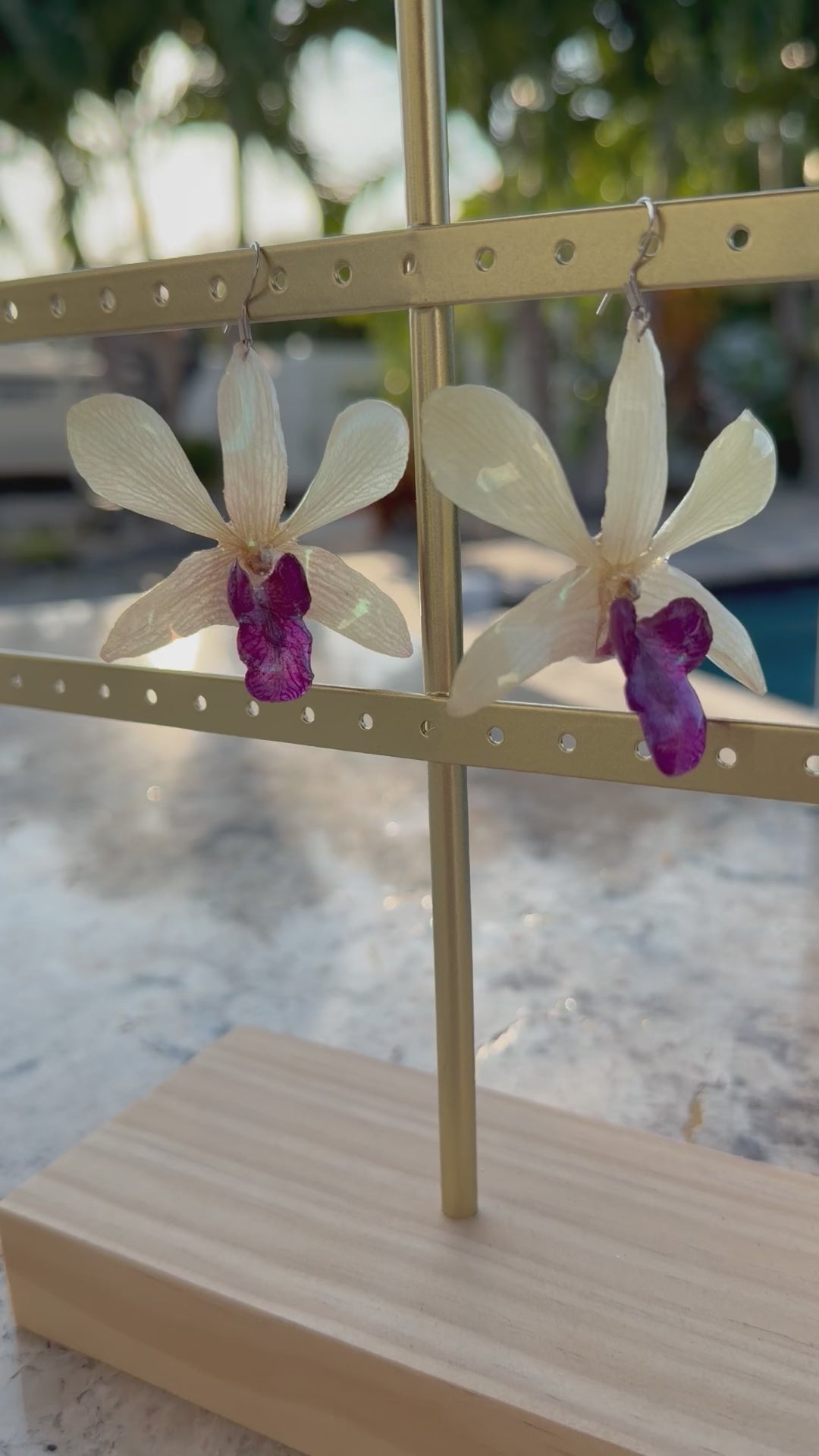 Dendrobiums