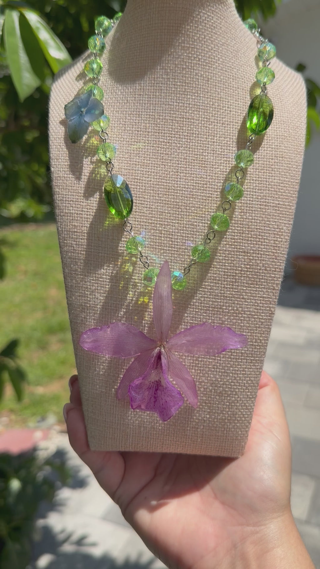 Orchid Whisper
